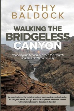 Walking the Bridgeless Canyon: Repairing the Breach between the Church and the LGBTQ Community - Baldock, Kathy