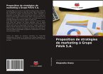 Proposition de stratégies de marketing à Grupo PAVA S.A.