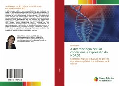 A diferenciação celular condiciona a expressão do NDRG1 - Tiffon, Céline