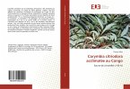 Corymbia citriodora acclimatée au Congo