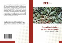 Corymbia citriodora acclimatée au Congo - Silou, Thomas