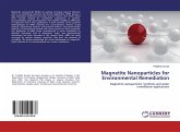 Magnetite Nanoparticles for Environmental Remediation