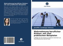Cover Wahrnehmung beruflicher Risiken: mit zwei praktischen Beispielen