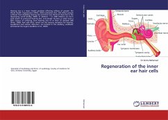 Regeneration of the inner ear hair cells - Mohamed, Amira