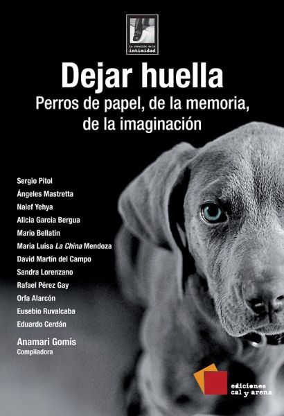 Dejar huella (eBook, ePUB) Dejar huella (eBook, ePUB)