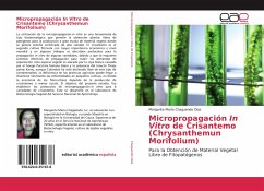 Micropropagación In Vitro de Crisantemo (Chrysanthemun Morifolium) - Chaguendo Diaz, Margarita Maria