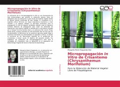 Micropropagación In Vitro de Crisantemo (Chrysanthemun Morifolium)