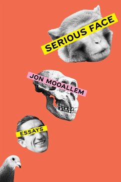 Cover Serious Face (eBook, ePUB)