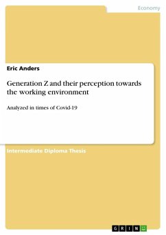 Generation Z and their perception towards the working environment - Anders, Eric