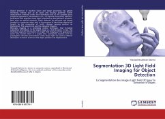 Segmentation 3D Light Field Imaging for Object Detection - Sabrina, Yessaadi Bouleksair