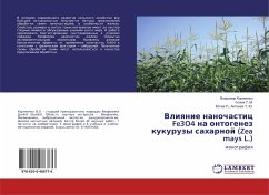 Vliqnie nanochastic Fe3O4 na ontogenez kukuruzy saharnoj (Zea mays L.) - Kornienko, Vladimir; T. M., Gelüh; Antonük T. Ju., Kotük P.