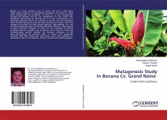 Mutagenesis Study In Banana Cv. Grand Naine - Kalalbandi, Baslingappa; Thalkari, Ganesh; Garde, Angad