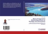 Macro Environment Moderating Effects on Strategy and Performance