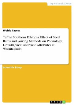 Teff in Southern Ethiopia. Effect of Seed Rates and Sowing Methods on Phenology, Growth, Yield and Yield Attributes at Wolaita Sodo