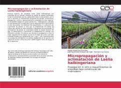 Micropropagación y aclimatación de Laelia halbingeriana - Ruiz González, Miguel Ángel; Enriquez del Valle, José Raymundo; Cruz García, Hermila