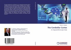 The Cerebellar Cortex - Castejón, Orlando J.