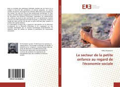 Le secteur de la petite enfance au regard de l'économie sociale - Seigneurin, Gilles