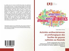 Activités antibactériennes et antifongiques des feuilles de goyave cultivées au Rwanda - Thomas, Habanabakize