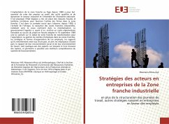 Stratégies des acteurs en entreprises de la Zone franche industrielle - Aye, Maanana-Missa