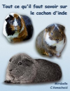 Tout ce qu'il faut savoir sur le cochon d'inde (nouvelle édition) (eBook, ePUB) - Vomscheid, Mirabelle C.