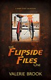 The Flipside Files 1 (eBook, ePUB)