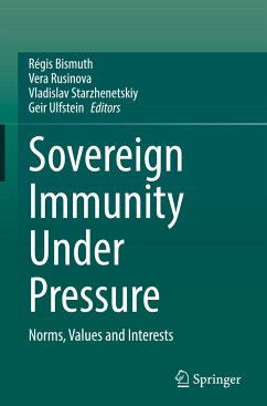 Sovereign Immunity Under Pressure