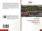 Causes probable des degradations Causes probable des degradations