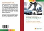 Medida de porosidade em SiC via processamento digital de imagens