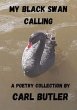 My Black Swan Calling (eBook, ePUB) - Bild 1