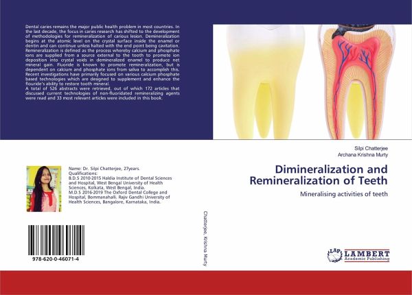 Dimineralization and Remineralization of Teeth Dimineralization and Remineralization of Teeth