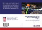 Biochemical Changes and Municipal Solid Waste Sorting