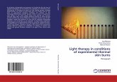 Light therapy in conditions of experimental thermal skin burns