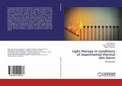 Light therapy in conditions of experimental thermal skin burns - Motorina, Irina; Storozhenko, Pavel; Rasulov, Maksud