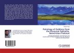 Petrology of Gabbros from the Khanozai Ophiolite, Balochistan Pakistan
