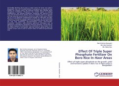 Effect Of Triple Super Phosphate Fertilizer On Boro Rice In Haor Areas - Goswami, Bani Krishna; Kashem, Md. Abul; Aziz, Md. Abdul