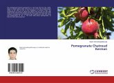 Pomegranate Chatroud Kerman