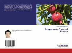 Pomegranate Chatroud Kerman - Ahmadinejadfarsangi, Naiem