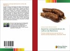 Aspectos socioprodutivos do cultivo da Mandioca