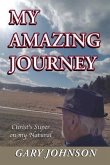 My Amazing Journey (eBook, ePUB)