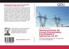 Mantenimiento de Lineas Energizadas, Factibilidad y Aplicacion en AT - Rios Noguera, José Gregorio