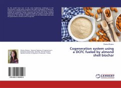 Cogeneration system using a DCFC fueled by almond shell biochar - Rhaiem, Dhekra