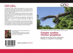 Cover Cóndor andino(Vultur gryphus)