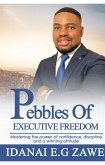 Pebbles of Executive Freedom (eBook, ePUB)