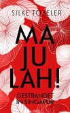 Majulah! Gestrandet in Singapur (eBook, ePUB)