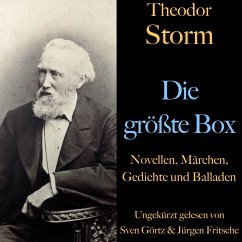 Theodor Storm: Die größte Box (MP3-Download) - Storm, Theodor