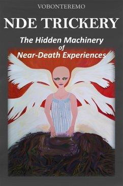 Cover NDE Trickery (eBook, ePUB)