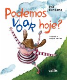 Podemos voar hoje? (eBook, ePUB)