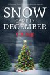 Snow Came in December (eBook, ePUB) - Bild 1