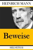 Beweise (eBook, ePUB)