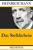 Das Stelldichein (eBook, ePUB)